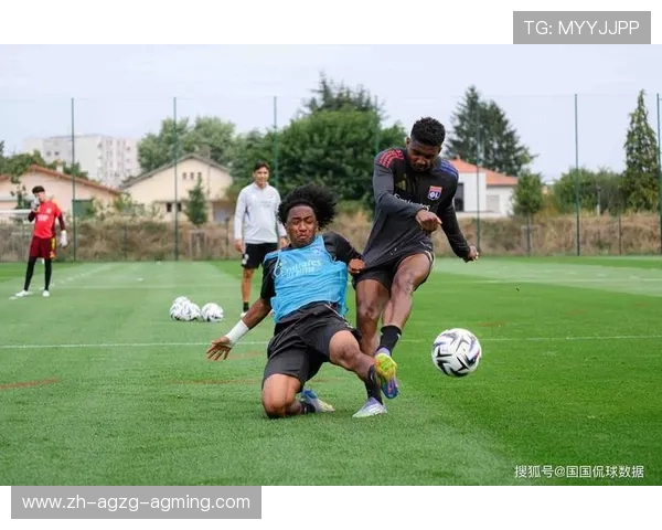 谁是法甲最佳球迷 热情与忠诚的代表